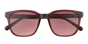 Radley RDS 6534 162 Men's Sunglasses Burgundy Size 53