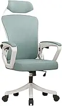 Executive Desk Chair Ergonomic Chair Lumbar Protection Home Office Chair Comfortable High Back Bedroom Gaming Chair Scrolling Swivel Office Chair Office Chair(Green)
