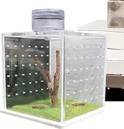 Jumping Spider Enclosure - Sturdy Abs Habitat, Mini Pet Tank | 3.54in Breathable Box with and Branch Décor, Ideal Breeding Space for Tarantulas, Lizards, Frogs, and Exotic Pet Display