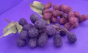 Pair of Beaded Grape Bunches Clusters Purple /Pink w/ Leaves SALE!