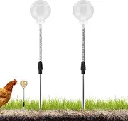 Chicken Swing Feeder | Coop Swing Pecking Toy,Flock Accessories, Hens Enrichment Supplies for Chick, Birds, Parrots, Duck