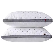 2 Pack Hotel Quality Ultra Soft Pillows