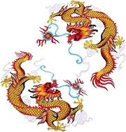 jojofuny 1 Pair Chinese Dragon Iron Patches Traditional Embroidered Applique for Clothing Unique Decorative Patches for Cheongsam Jeans and More Durable Design
