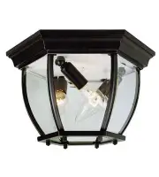 Trans Globe Lighting 4906-BK Angelus Outdoor Ceiling Light Black