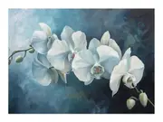 White Orchid Canvas Print
