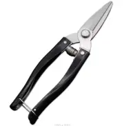 Fruit tree pruning scissors Gardening flower pruning branch scissors