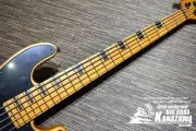 SCHECTER MODEL T SESSION 5 TL Bass 5 String