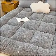 Japanese Floor Mattress Thickened Futon Mattress Foldable Tatami Mat for Home Student Dormitory Camping Guest Bed Mattress Pads(C,120x200cm)
