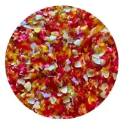 Edible Glitter HELLO SUNSHINE Cake Sparkles food decorating 1/4 oz OH SWEET ART