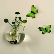 Wall Mounted Fish Tank Bowl Bubble Aquarium Hanging Goldfish Terrarium G2P9