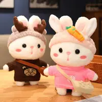 在飛比找ETMall東森購物網優惠-可愛兔子公仔毛絨玩具小白兔玩偶掛件布娃娃男女孩抱枕情人節禮物