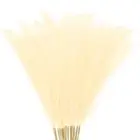 20-Pack Faux Pampas Grass 21.7 Inch for Home Decor/Wedding [Beige]