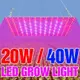 LED植物燈全光譜110V量子板植物生長燈220V多肉補光燈40W家用室內蔬菜花卉種植燈園藝照明種子溫室培育