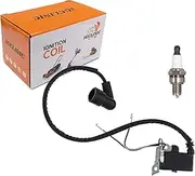 531147161 Ignition coil with Spark Plug for 150BT Backpack Blower