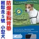 ★美國普立爾Premier．Easy Walk Harness 輕鬆走防暴衝胸背帶【S號-小型犬適用】【左側全店折價卷可立即再折抵/分期0利率】狗族文化村