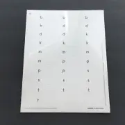 Fountas & Pinnell Lesson 4 LETTER CARDS Leveled Literacy Intervention NIP