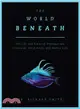 The World Beneath ― The Life and Times of Unknown Sea Creatures and Marine Life
