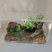 4"x4"x7" Acrylic Enclosure | Jumping spider | isopod | Tarantula Cage | Reptile