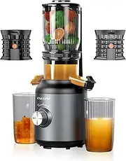 Cold Press Juicer Machines-250W Masticating Juicer with 4.2’’ Opening and 1.2L Slow Juicers for Whole Fruit and Vegetable Slow Juicer Extractor High Juice Yield, Easy To Clean, BPA Free, Light Grey