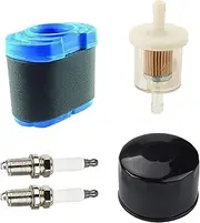 Lawn Mower Service Kit Suitable for Briggs & Stratton Two Cylinder Motors Husqvarna Mowers