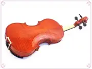 School Beginner 3/4 Flamed Style Violin-Bow-Rosin-Case & Free String Set
