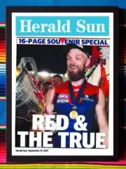 Framed 2021 MELBOURNE DEMONS AFL Premiers Poster MAX GAWN - 62cm x 44.5cm