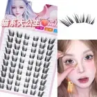 C Curl Fairy Lash Clusters Cat Eye Anime Lashes 12mm Individual Lashes