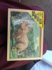 New Melissa & Doug Wooden Jigsaw Puzzles In A Box - Dinosaurs Factory Sealed Box