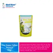 2 Pack Premium Grade Guppy Fish Food Slow Sinking Food Micro Colour Enchancing