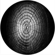 Slipmat Slip Mat for 12" Turntable Vinyl LP DJ Record Player DRIED TREE RINGS