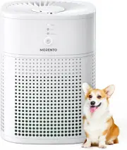 Air Purifiers for Bedroom, Room Air Purifier HEPA Filter for Smoke, Allergies, P