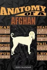 在飛比找博客來優惠-Anatomy Of A Afghan: Afghan 20