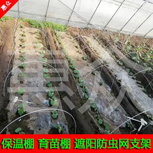 【滿500出貨】玻璃纖維大小拱棚育苗棚遮陽防蟲網多肉支架骨架