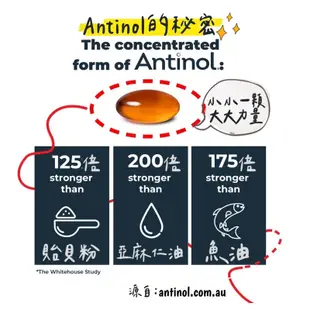 ✨新包裝✨現貨x多包優惠x免運🐾Antinol Rapid澳洲原裝公司貨180顆 犬貓關節保健[24hr出貨+電子發票]