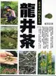 茗茶中的綠色皇后：龍井茶