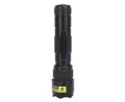 Raylight Flashlight XML-L2 LED 8000LM Rechargeable 2x18650 Battery Lamp Waterproof