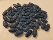 Lot of 50 Blue Fleur de Lis Flat Almond Plastic Macrame Craft Jewelry Beads 24mm