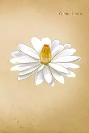 White Lotus: Vintage Botanical Flower Illustrations Soft Cover Journal, Diary, Notebook with Lined Pages