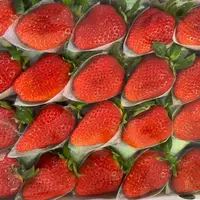 在飛比找蝦皮購物優惠-【日本德島櫻花水蜜桃草莓】 明年見水蜜桃呈圓錐形 不同與一般