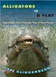 Alligators in B-flat ─ Improbable Tales from the Files of Real Florida