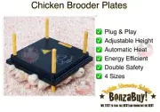 Chick Plate Heating Brooder Automatic Chicken Brooding Adjustable Height Chooks