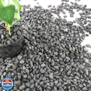 CJGQ 7lb River Rocks Pebbles for Plants and Succulents, Decorative Outdoor La