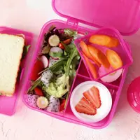 在飛比找ETMall東森購物網優惠-新西蘭sistema多分格野餐盒三明治盒 減脂輕食蔬菜水果沙
