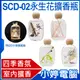 【小婷電腦】SCD-02 永生花擴香瓶 120ml 四季香氛 室內擴香 實木小夜燈 香味持久 乾燥花 擴香劑