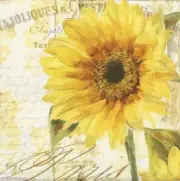 "New" 3 Paper Napkins for Decoupage/Scrapbooking/Craft-Sunflowers