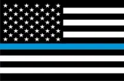 Thin Blue Line Mini Poster - 11" x 17"