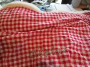 Pottery Barn Kids Santa bag red gingham Christmas mono Skylar New