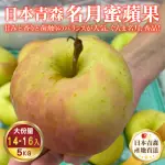 【WANG 蔬果】日本青森名月蜜蘋果28粒頭14-16顆X1箱(5KG/箱)