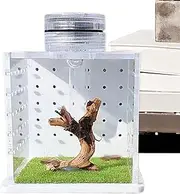 Jumping Spider Terrarium, Jumping Spider Fence,Transparent Turtle Tank - Small Terrarium Habitat Praying Mantis, Breeding Box with Light Humidifier for Small