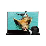 VIVIDSTORM 84Inch Black S PRO Electric Tension Floor Rising Screen (For Ultra Short Throw Laser Projectors)